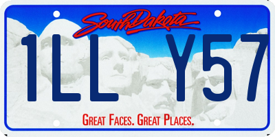 SD license plate 1LLY57