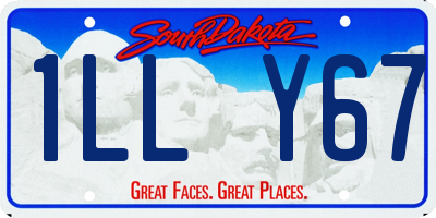 SD license plate 1LLY67