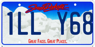 SD license plate 1LLY68