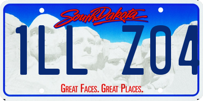 SD license plate 1LLZ04