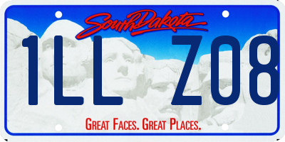 SD license plate 1LLZ08