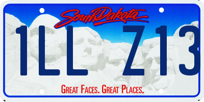 SD license plate 1LLZ13