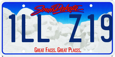 SD license plate 1LLZ19