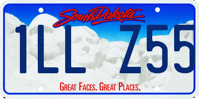SD license plate 1LLZ55