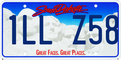 SD license plate 1LLZ58