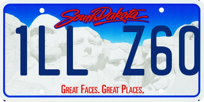 SD license plate 1LLZ60
