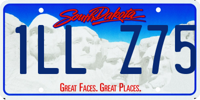 SD license plate 1LLZ75