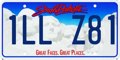 SD license plate 1LLZ81