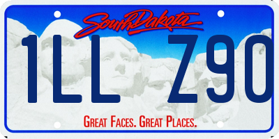SD license plate 1LLZ90