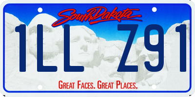 SD license plate 1LLZ91