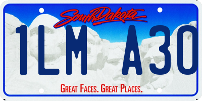 SD license plate 1LMA30