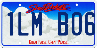 SD license plate 1LMB06