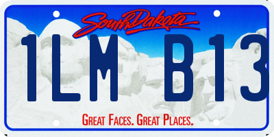 SD license plate 1LMB13