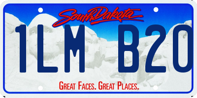 SD license plate 1LMB20