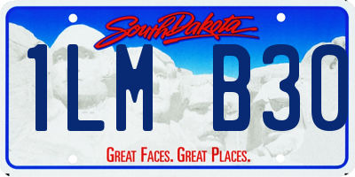 SD license plate 1LMB30