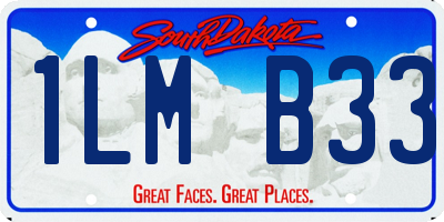 SD license plate 1LMB33