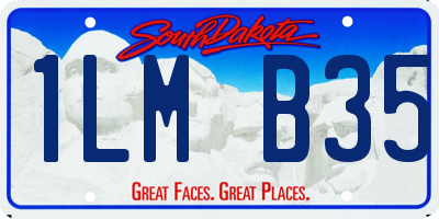 SD license plate 1LMB35