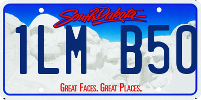 SD license plate 1LMB50