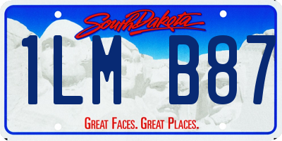 SD license plate 1LMB87