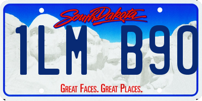 SD license plate 1LMB90