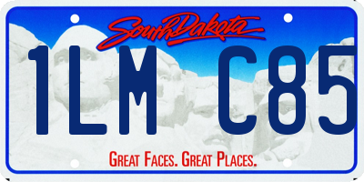 SD license plate 1LMC85