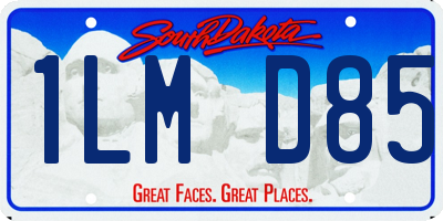 SD license plate 1LMD85
