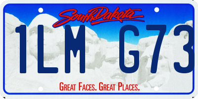 SD license plate 1LMG73