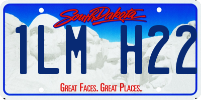 SD license plate 1LMH22