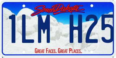 SD license plate 1LMH25