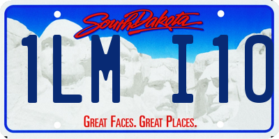 SD license plate 1LMI10