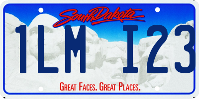 SD license plate 1LMI23