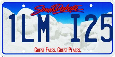 SD license plate 1LMI25