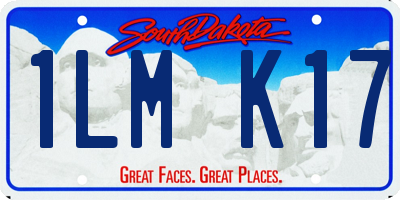 SD license plate 1LMK17