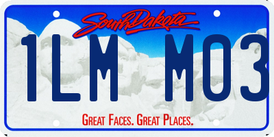 SD license plate 1LMM03