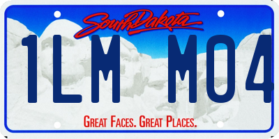 SD license plate 1LMM04