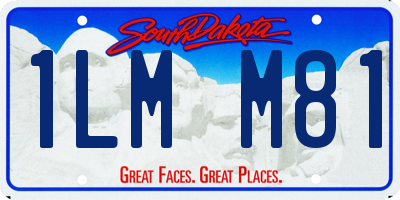 SD license plate 1LMM81