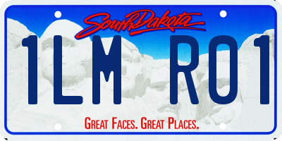 SD license plate 1LMR01