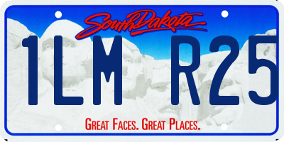 SD license plate 1LMR25