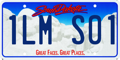 SD license plate 1LMS01