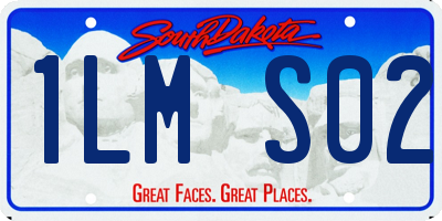 SD license plate 1LMS02