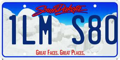 SD license plate 1LMS80