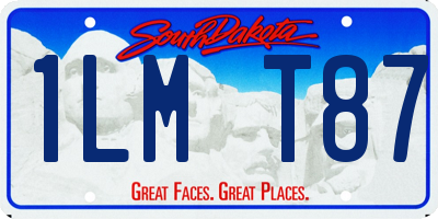 SD license plate 1LMT87