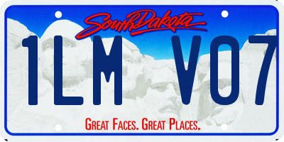 SD license plate 1LMV07