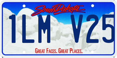 SD license plate 1LMV25