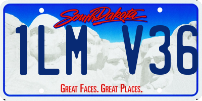 SD license plate 1LMV36