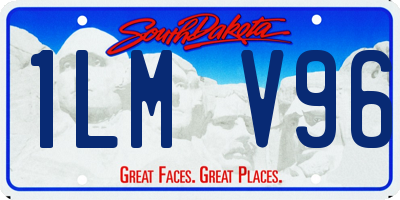 SD license plate 1LMV96
