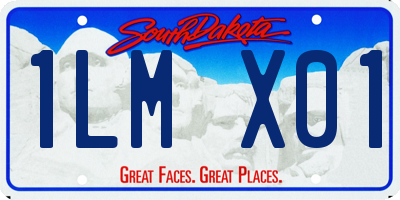SD license plate 1LMX01