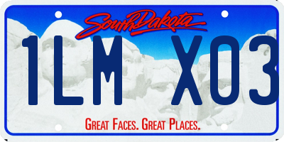 SD license plate 1LMX03