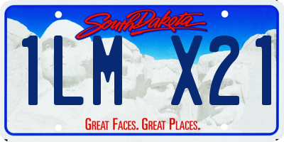 SD license plate 1LMX21
