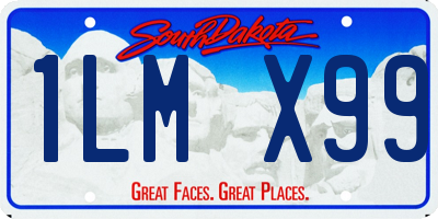 SD license plate 1LMX99